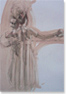 Charles Willmott, Original Graphite.  Artist at The Colomb Art Gallery, London