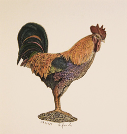 Engraving, Hand coloured restrike engraving, Rooster