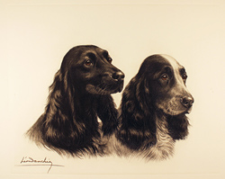 Engraving, Hand coloured restrike engraving, English Setters at Rest