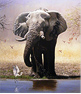 Pip McGarry, Original painting on Canvas. 