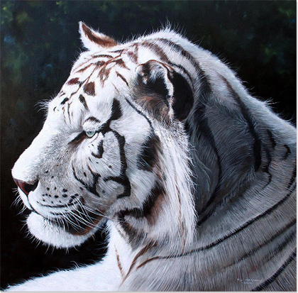 Pip McGarry, Original oil painting on Canvas