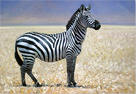 Pip McGarry, Original oil painting on Canvas. 