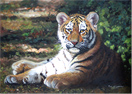 Pip McGarry, Original oil painting on Canvas. 