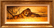 Pip McGarry, Original oil painting on Canvas. 
