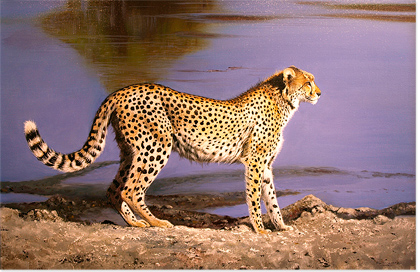 Pip McGarry, Original oil painting on Canvas