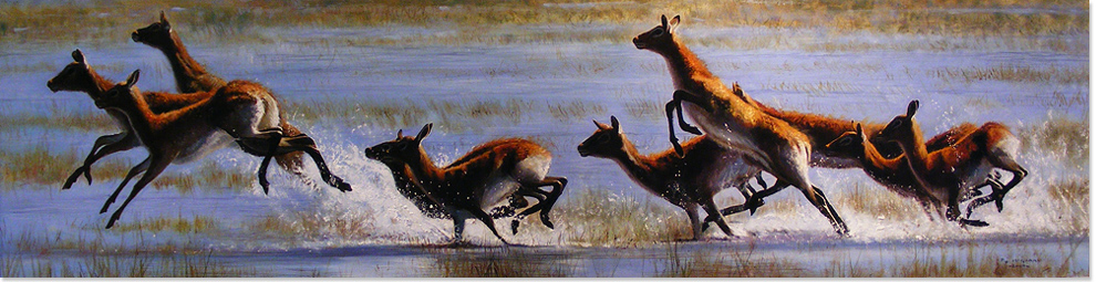 Pip McGarry, Original oil painting on Canvas. 