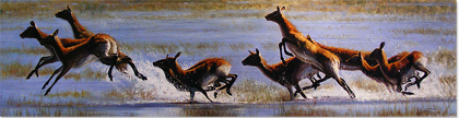 Pip McGarry, Original oil painting on Canvas