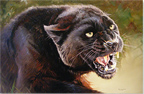 Pip McGarry, Original painting on Canvas. 