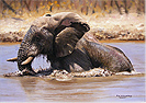 Pip McGarry, Original oil painting on Canvas. 