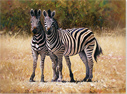 Pip McGarry, Original oil painting on Canvas. 
