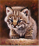 Pip McGarry, Original oil painting on Canvas. 