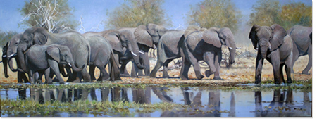 Pip McGarry, Original oil painting on Canvas