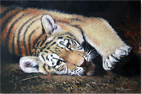 Pip McGarry, Original oil painting on Canvas. 