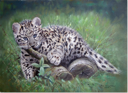 Pip McGarry, Original oil painting on Canvas