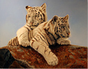 Pip McGarry, Original oil painting on Canvas. 