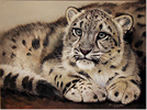 Pip McGarry, Original oil painting on Canvas. 