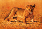 Pip McGarry, Original oil painting on Canvas. 