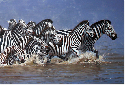 Pip McGarry, A Brush with the Wild, Exhibition now on