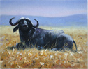 Pip McGarry, Original oil painting on Canvas. 
