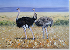 Pip McGarry, Original oil painting on Canvas. 