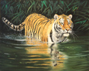 Pip McGarry, Original oil painting on Canvas. 