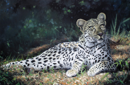 Pip McGarry, A Brush with the Wild, Exhibition now on