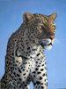Pip McGarry, Original oil painting on Canvas. 