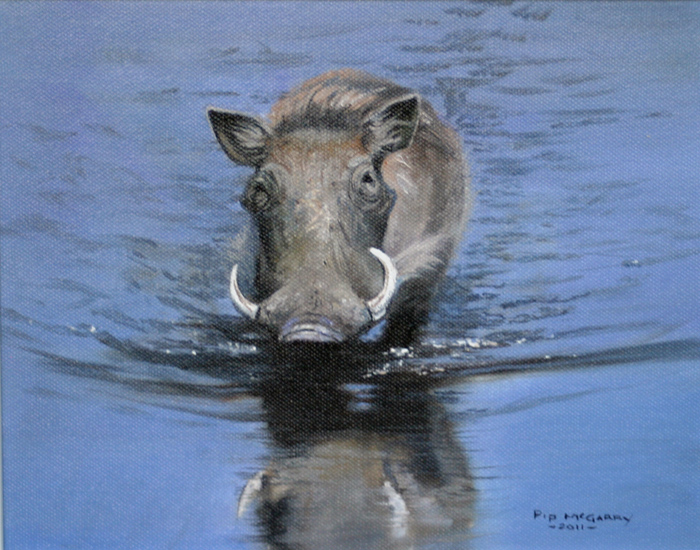 Pip McGarry, Original oil painting on canvas, Warthog Wading