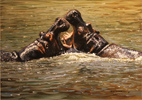 Pip McGarry, Original oil painting on Canvas. 