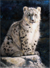 Pip McGarry, Original oil painting on Canvas. 