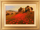 Steve Thoms, Original acrylic painting on board, Tuscan Poppies