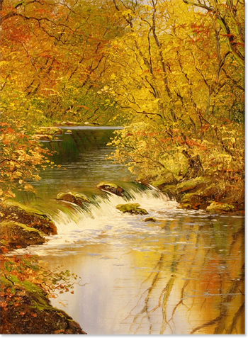 Terry Evans, Original Oil Painting on canvas