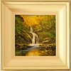 Terry Evans, Original Oil Painting on canvas