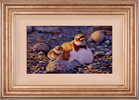 Wayne Westwood, Original Oil Painting