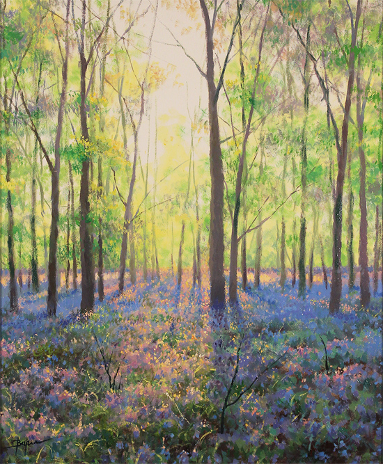 Alan Barker, Original oil painting on canvas, The Bluebell Wood