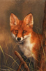 Carl Whitfield, Original oil painting on panel, Fox