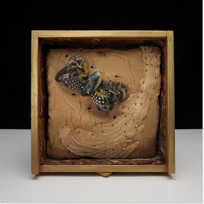 Carolina Whitaker, Still Life