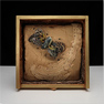 Carolina Whitaker, Still Life
