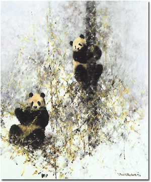 Winter in Wolong, Signed Limited Edition Print