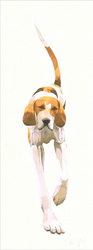 Mary Ann Rogers, Signed limited edition print, Fox Hound 1