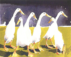Mary Ann Rogers , Signed Limited Edition Print