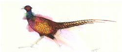 Mary Ann Rogers, Signed Limited Edition Print