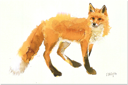 Mary Ann Rogers - Reynard, Signed Limited Edition Print