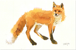 Mary Ann Rogers, Signed Limited Edition Print