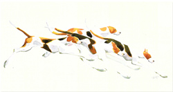 Mary Ann Rogers, Signed Limited Edition Print