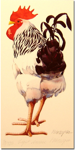 Mary Ann Rogers, Light Coloured Cockerel, Signed Limited Edition Print