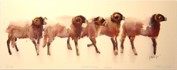 Mary Ann Rogers, Signed Limited Edition Print
