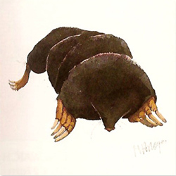 Mary Ann Rogers, Signed Limited Edition Print
