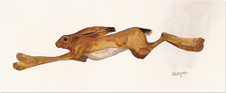 Mary Ann Rogers, Signed Limited Edition Print