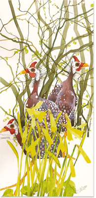 Mary Ann Rogers, Guinea Fowl, Signed Limited Edition Print